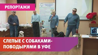 В Уфе до сих пор есть места, куда не пускают слепых с собакой-поводырём. История незрячих уфимцев