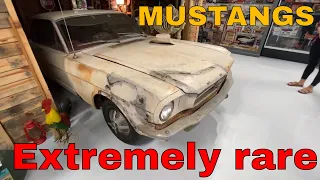 The RAREST Mustang Ever Made