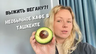 Фанаты чая и вегетарианцы в Ташкенте. Цены и обзор кафе Artha.