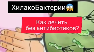 Как избавиться от ХилакоБактери без антибиотиков?