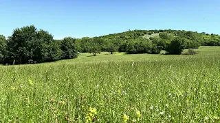 Beautiful early summer scenery in Bulgaria