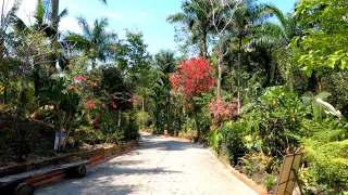 4K Puerto Vallarta, Jalisco, Mexico - Vallarta Botanical Gardens