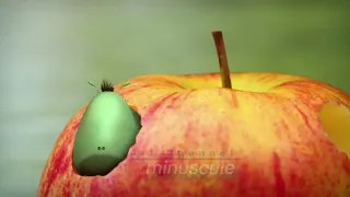 minuscule -love apple / pomme d'amour saison2