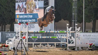 Eme 🥇 in the 1.45m 8/yo class | Sunshine Tour (Emerald x Calvaro)