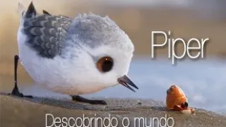 Piper - Descobrindo o Mundo