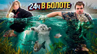 24 ЧАСА В БОЛОТЕ С КОТОМ И СОБАКОЙ | СПАСЛИ СПЯЩУЮ ЛЯГУШКУ И ПИЯВОК