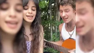 Camila Cabello and Shawn Mendes Home Quarantine Concert