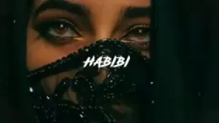 Habibi-Dj Gimi -O(Slowed+Reverb