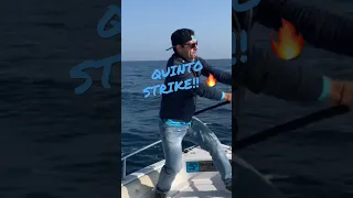 Per non dimenticare.. QUINTO STRIKE 🔥🚀 #angler #tunaspinning #tonnorosso