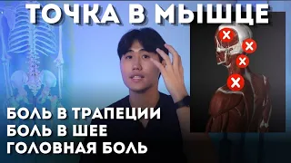 Эта точка избавит тебя от боли в трапеции, шее и голове / Разминай каждый день