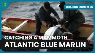 The Atlantic Blue Marlin - Chasing Monsters - Nature & Adventure Documentary