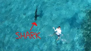 Drone Captures Close Shark Encounter in Bahamas