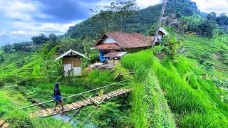 DIJAMIN BETAH😍 MENIKMATI HIDUP DI KAMPUNG YANG INDAH ALAM DESANYA, SUASANANYA ADEM, AYEM & TENTRAM