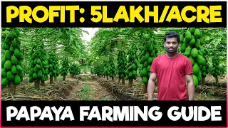 Papaya Farming / Pawpaw Cultivation | COMPLETE GUIDE | How to grow Papaya