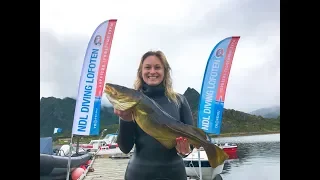 Spearfishing in Norway  First Expirience. Подводная Охота в Норвегии Первый Опыт