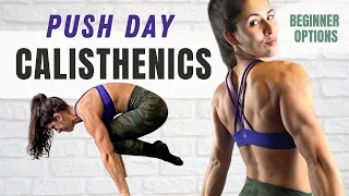 Calisthenics Push Day Routine | Beginner Modifications Included