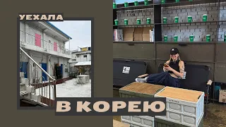 KOREA VLOG | Уехала в Корею на 2 месяца | Румтур