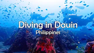 Unbelievable Encounters: Scuba Diving in Dauin, Philippines