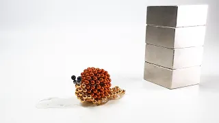 Slime and Magnets