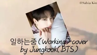 Jungkook(BTS) - 일하는중 (Working) (Yanghwa Bridge) Cover Lyrics