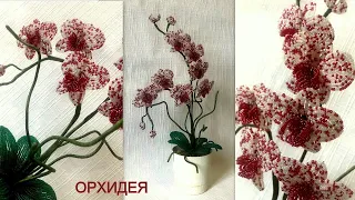 Цветы из бисера. Орхидея из бисера часть 1.