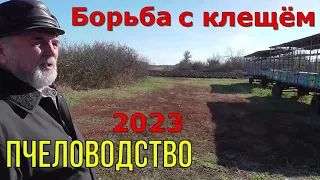 Клещ Varroa / Способы борьбы/ Итог сезона 2023.