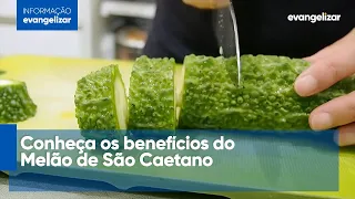 Conheça os benefícios do Melão de São Caetano [CC]