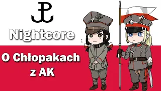 Nightcore - O chłopakach z AK - Warsaw Uprising Song