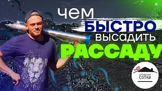 Быстрый способ высадки рассады. Подарочные Мараны! 🐣 Продаём свою рассаду.