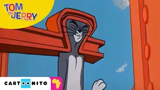 Tom and Jerry: Construction Cat | Cartoonito Africa