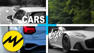 Audi Q2, Aston Martin DBS Superleggera & Porsche 911 Turbo Ikonen | Cars+Life | #010 | MotorvisionDE