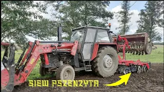 Siew pszenżyta 2021✩Ursus 902 & Poznaniak