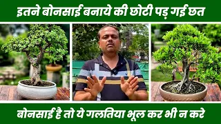 3 साल में बना डाले ढेरों बोन्साई 🤩 छत्त पर नहीं बची जगह 😯 😮 Amazing Bonsai Hobbist 😊