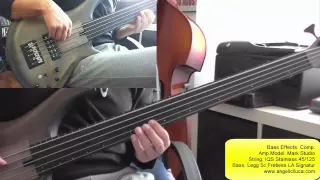 Do You Remember? - Phil Collins - Bass Cover - Pino Palladino Bassline