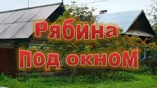 ๑●•Рябина под окном. Магические свойства рябины.๑●•