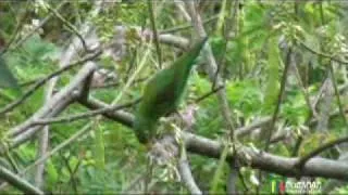 Posadas Turisticas Parque Tayrona UcrosTravel.flv