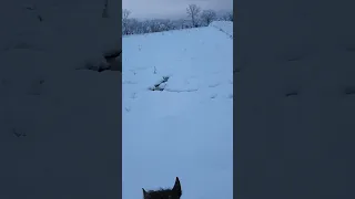 Checking Fences after the Storm on Horseback