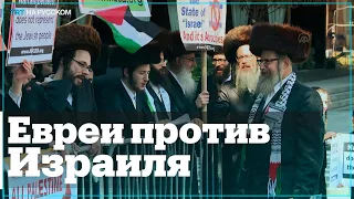 Ортодоксальные евреи вышли на протест к ООН