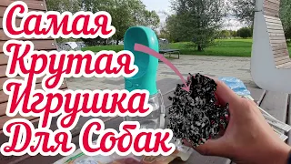 САМАЯ КРУТАЯ ИГРУШКА ДЛЯ СОБАКИ