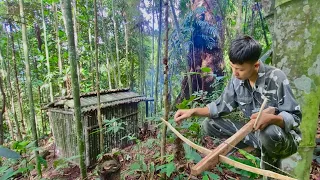 Full video: 7 days survival in the wilderness, make a shelter, trap chickens, hunt wild animals