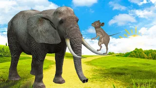 Big & Small  Dance of the Elephant and the Mouse