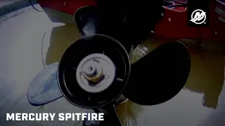 Mercury Spitfire