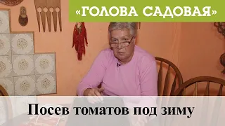 Голова садовая - Посев томатов под зиму