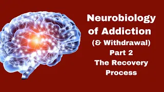 Neurobiology of Addiction Part 2 | Quickstart Guide