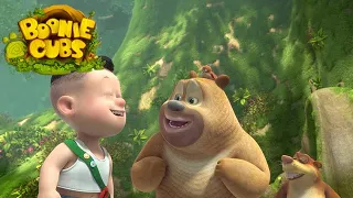 Boonie Cubs 【EP31】 | Baby Birdie |Cartoon