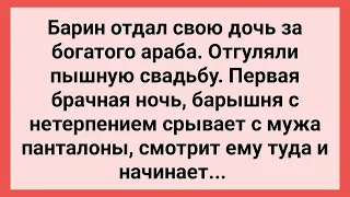 Первая Брачная Ночь Барышни и Араба! Сборник Свежих Смешных Жизненных Анекдотов!