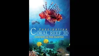 Official Trailer - FASCINATION CORAL REEF 3D - HUNTERS & THE HUNTED (2012)