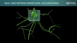 Femtonics Focuspinner - a 3D in-vivo real time motion correction