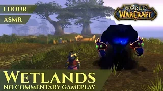 Vanilla Wetlands - Gameplay No Commentary, ASMR (1 hour, 4K, World of Warcraft Classic)