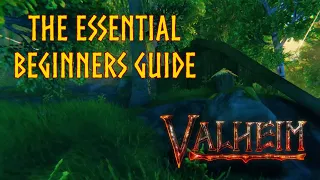 Valheim: The ULTIMATE Beginner's Guide